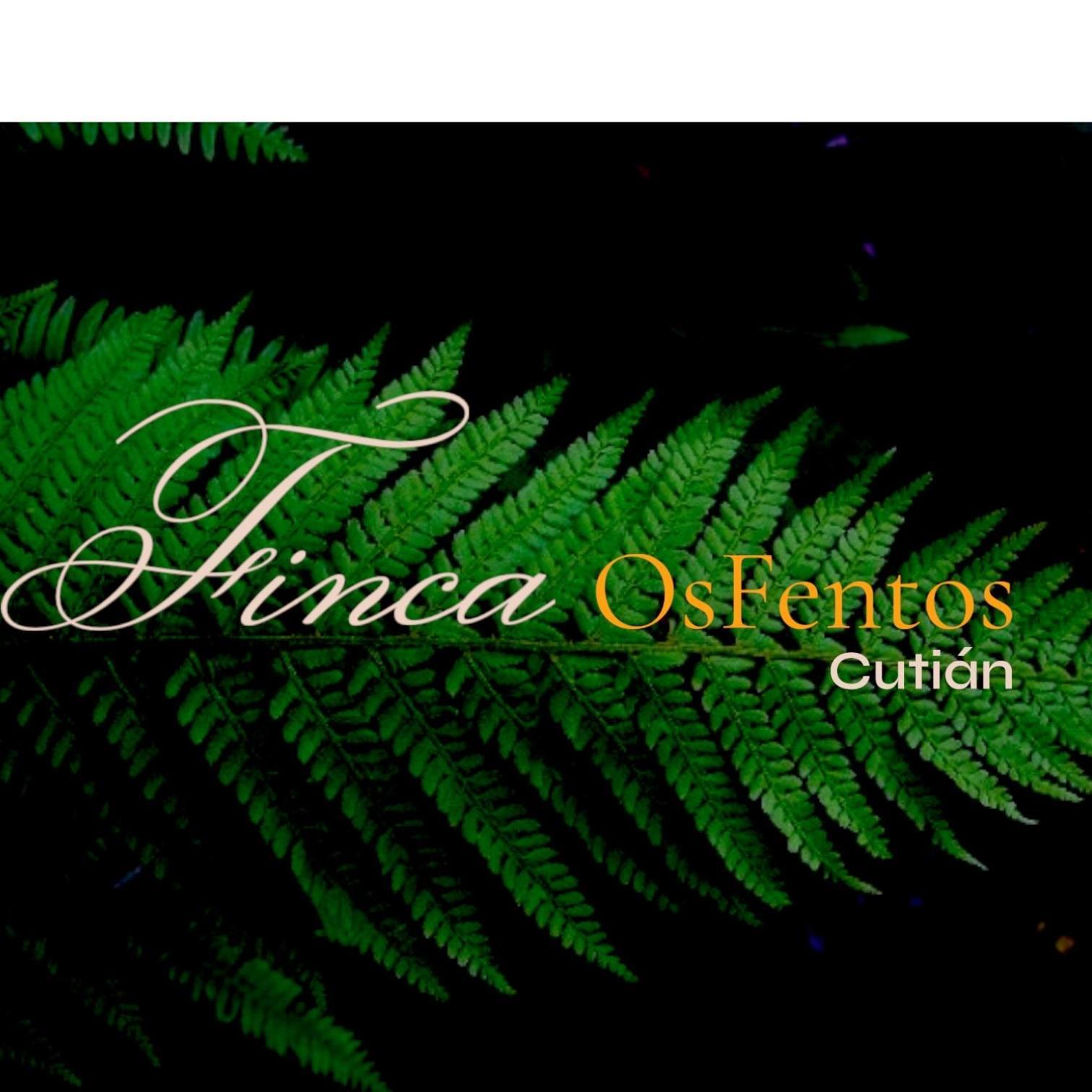 ポンテベドラ Os Fentos Bed & Breakfast エクステリア 写真
